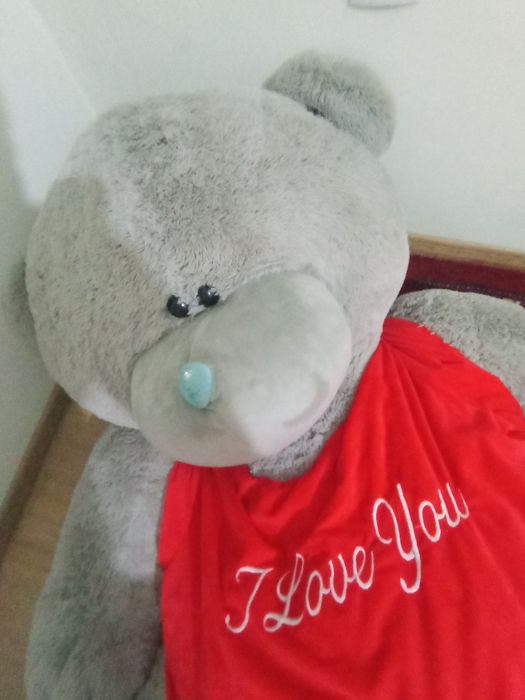TEDDY  новый куплен просто лежит не нужный