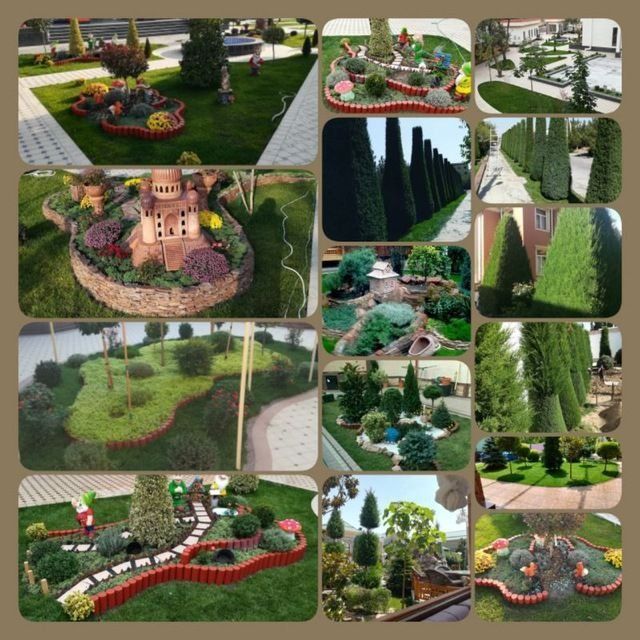 Газон рулонный жонсин