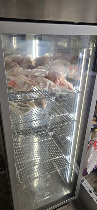 Congelator vertical Profesional Horeca inox Tecnodom