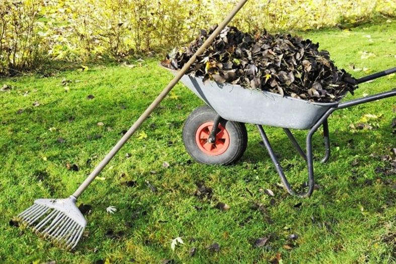 бригада рабочих уборка территорий