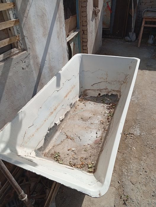 Карита СССР мержавыкий