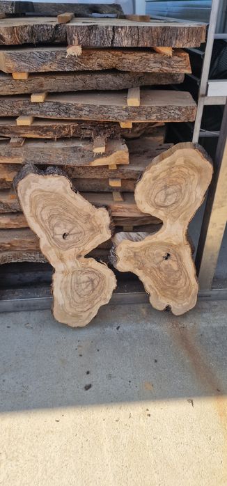 Blaturi uscate din lemn maslin