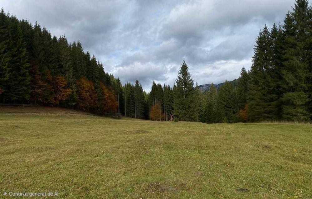 Teren intravilan 7.000 mp la poalele Ceahlăului – Sat Telec (Bicazul Ardelean) Posibilitate parcelare