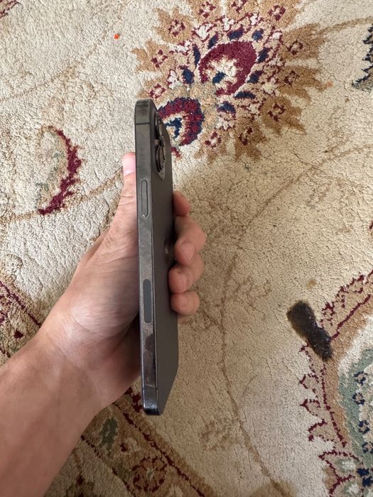 Iphone 12 pro max