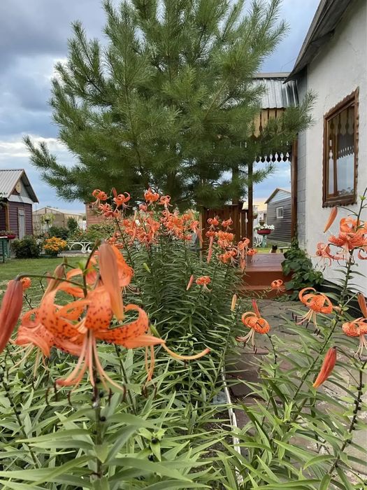 Продам дом Рузаевка