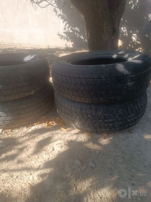 Pakriwka r15 195 ga 65