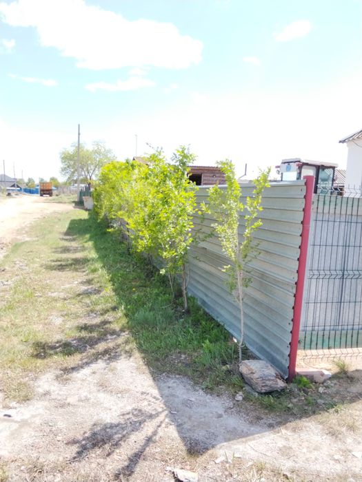 Продам дом в шанхае