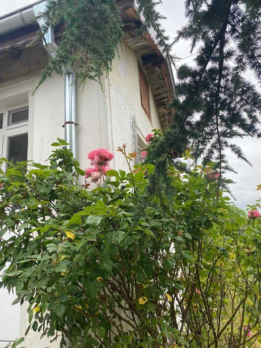 Продава се Къща в Тополовград - 84 кв.м за 536 €/кв.м - Снимка #14