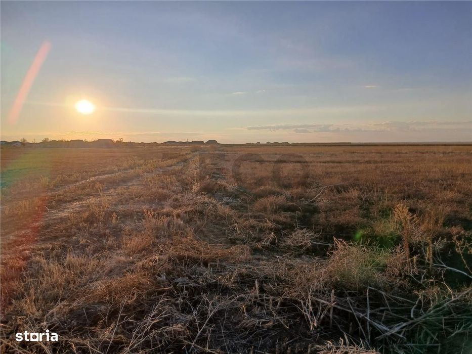 RECO Teren Intravilan Livada de bihor