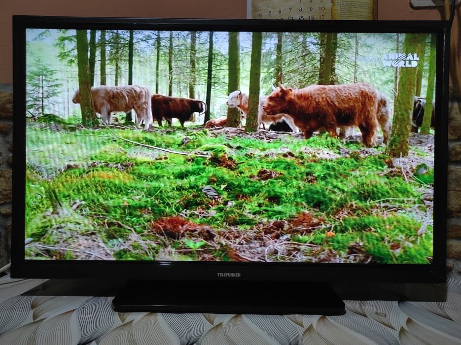 Smart tv Telefunken 60 cm