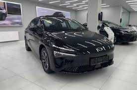 Gac Aion Max pod zakaz