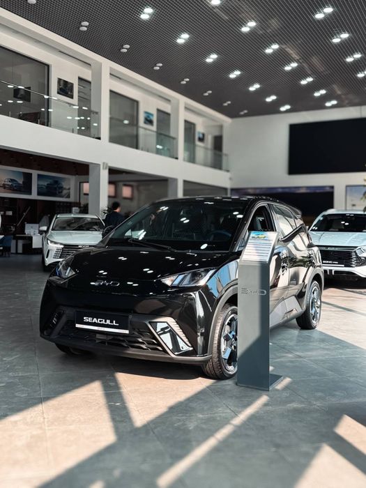 BYD Seagull EV 405 km