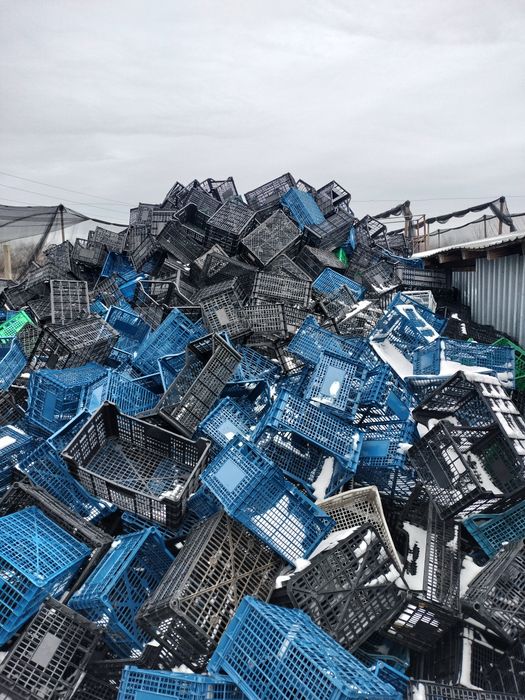 Lădițe de vânzare