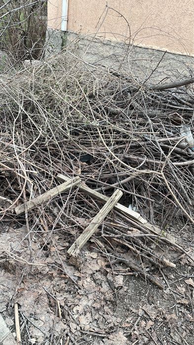 Отын. Отқа жағатын отын