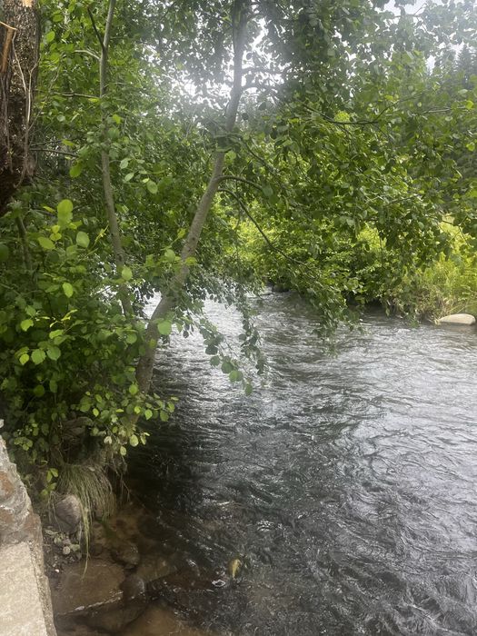 Cazare Toplita - cabana/casa  de vacanta/ciubăr, jud Harghita
