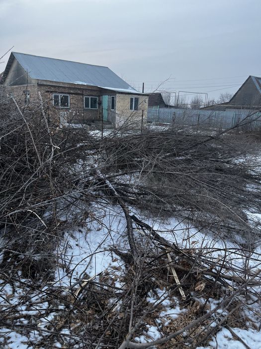 Отын тегін беоем