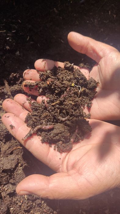 Биогонус сатылады