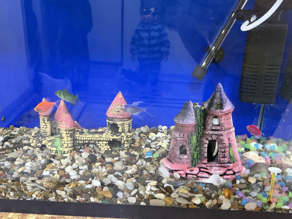 Продам аквариум