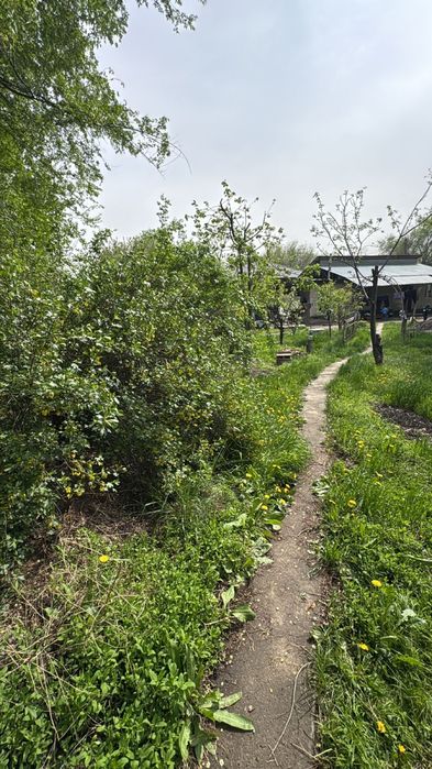 Дом и участок 10соток