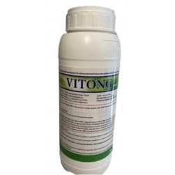 VITONG - identic Mustang sau Vector