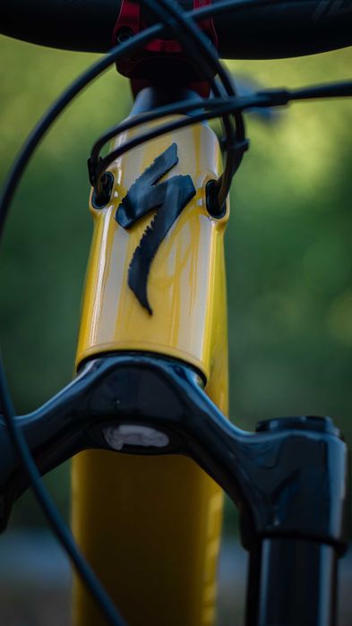 Specialized Kenevo SL2 /2024/размер S4/Mullet setup + range extender