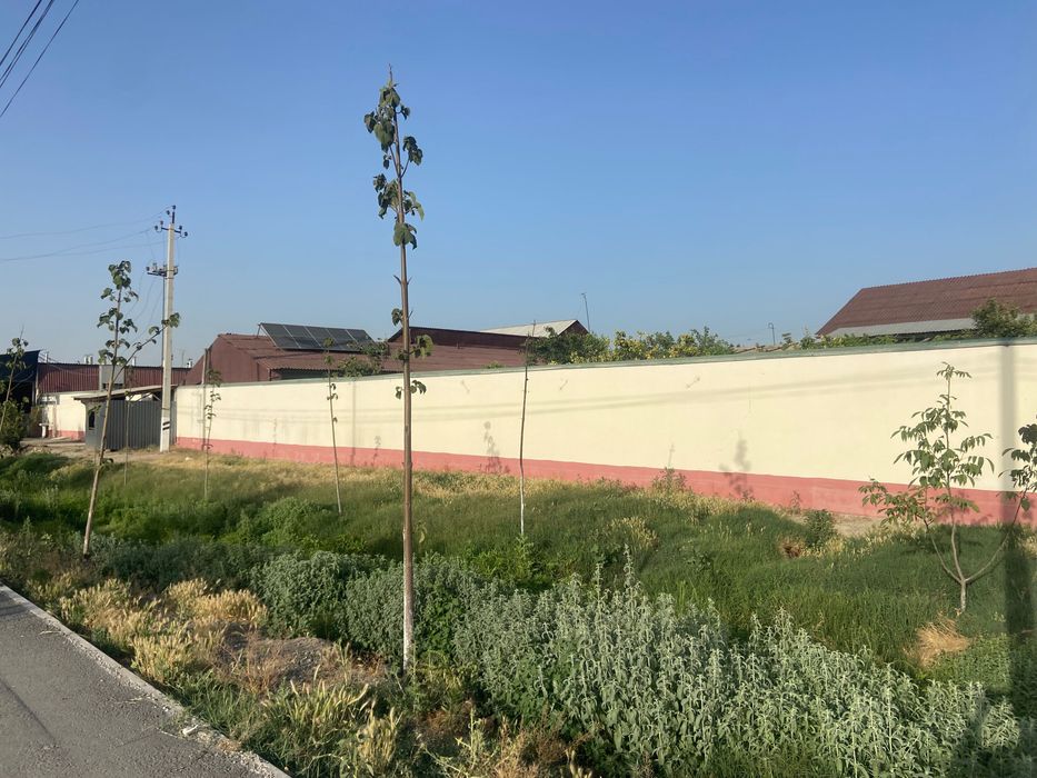 Продаю дом с участком