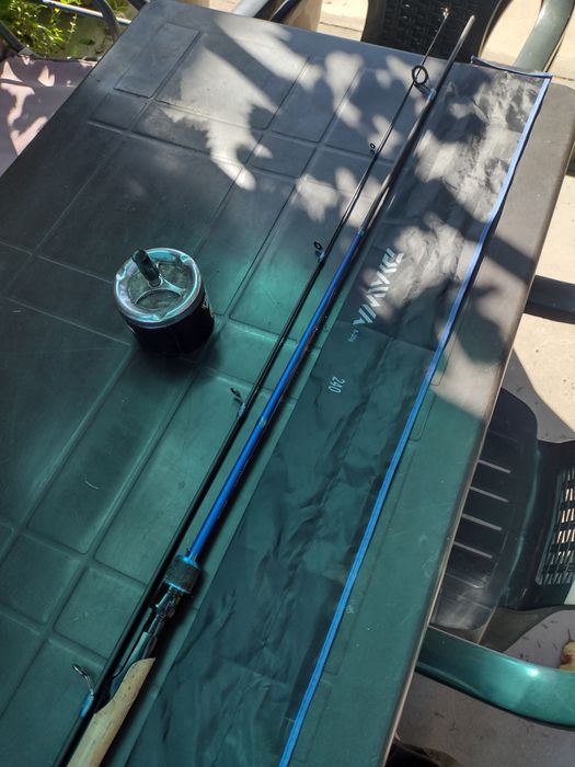 Спининг пръчка Дайва