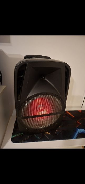 Boxa Portabila Freeman 80w