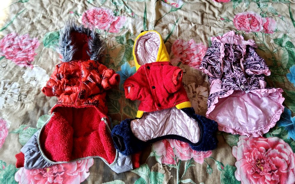 Продам одежду для маленькой собачки .