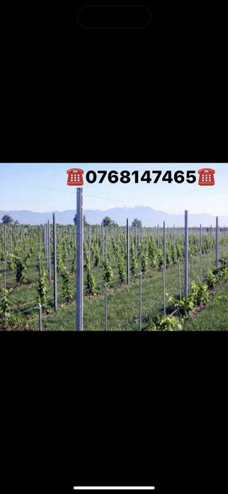 Vand stalpi spalieri zincati metalici galvanizati