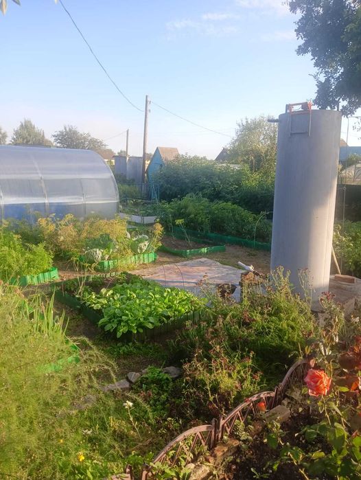 Продам дачу в хорошем месте!