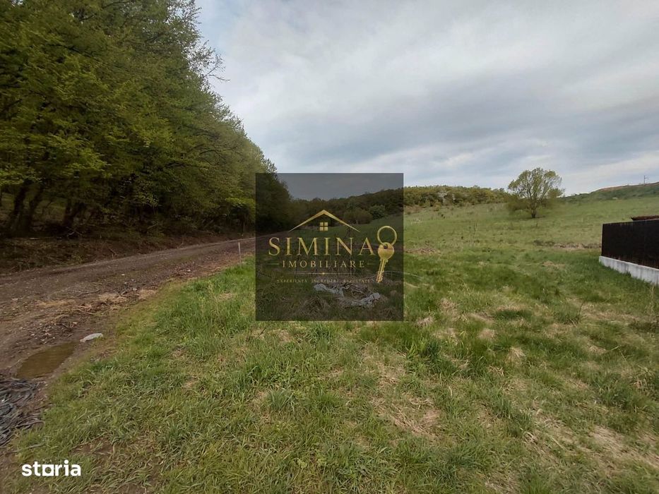 Teren 800 Mp, Intravilan, Corunca, Zona Boema