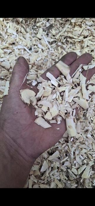 Продам опилки в мешках