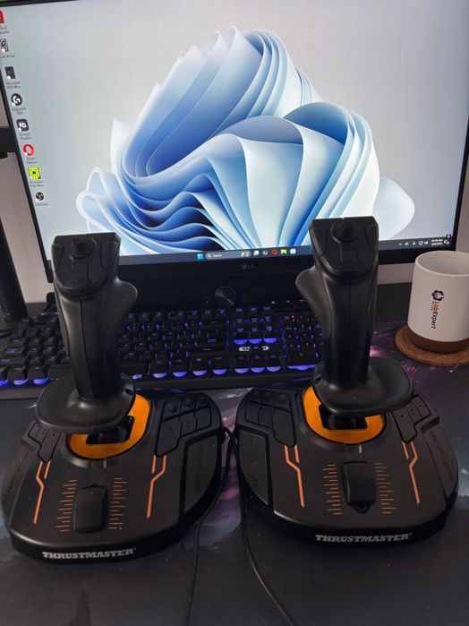 Dual joystick  Hotas/ Hosas Thrustmaster T16000M