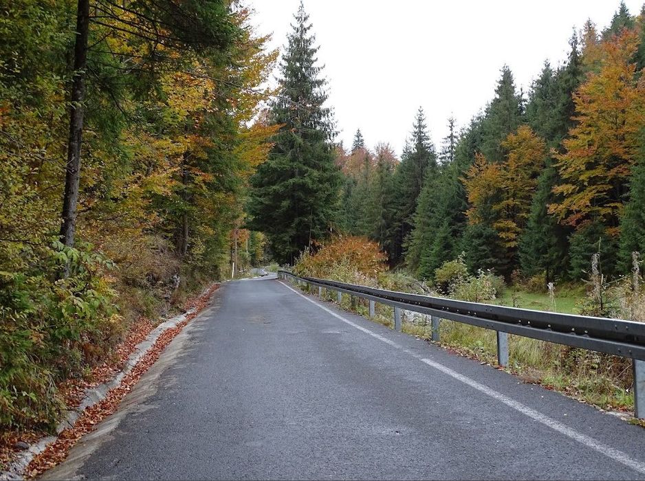 Teren intravilan Arieseni - 1250 mp - lângă drum asfaltat