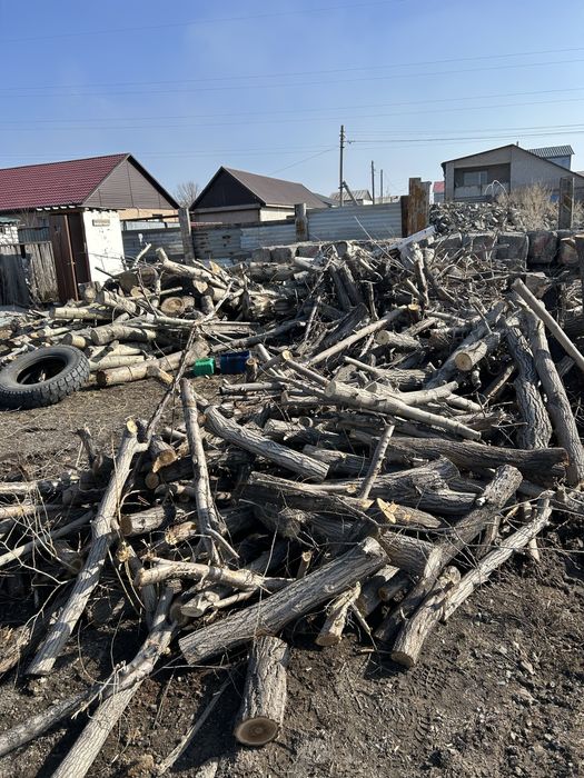 Продам дерево доставка бесплатно