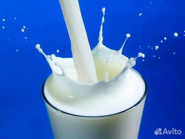 Қолдың сүті, Домашное молоко