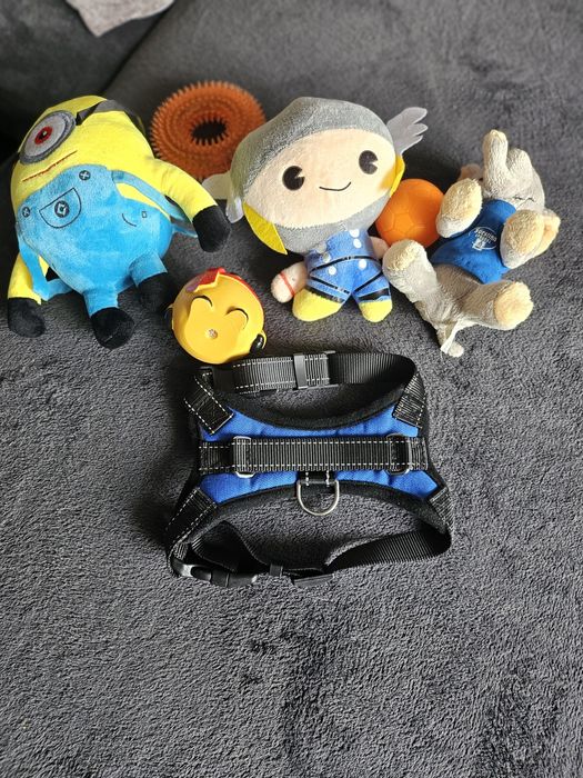 Кучешки дрешки и аксесуари