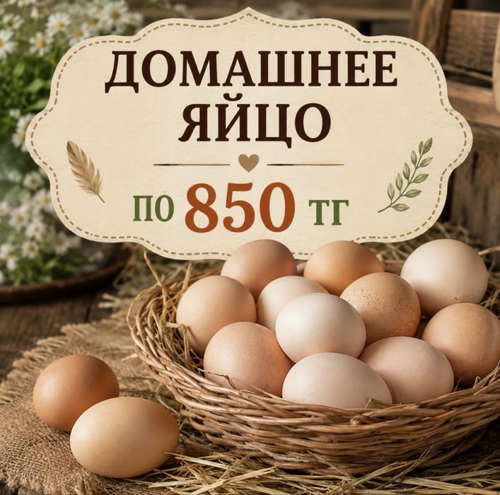 Яйца домашние -850 за 10 штук