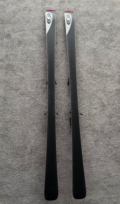 Schiuri adulti Salomon