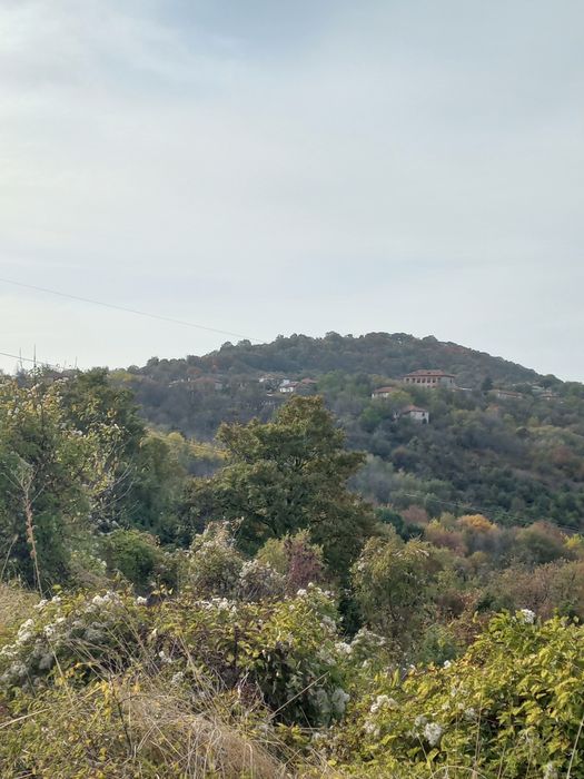 Топ парцел Тетевен- Рибарица