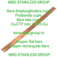 Bara Cupru Dreptunghiulara 30x10 mm Cu-ETP Electricitate Platbanda