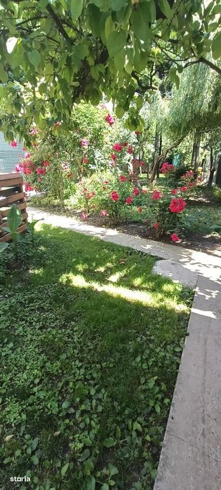 Apartament două camere/pădurea Andronache