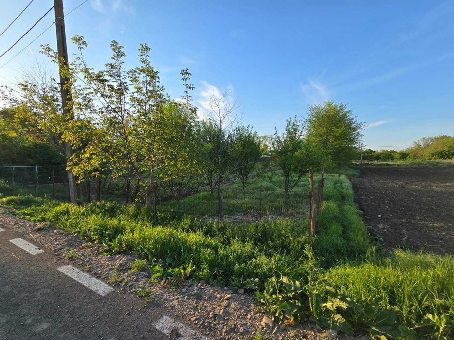 Teren intravilan 1200mp - Valea Argovei, Calarasi