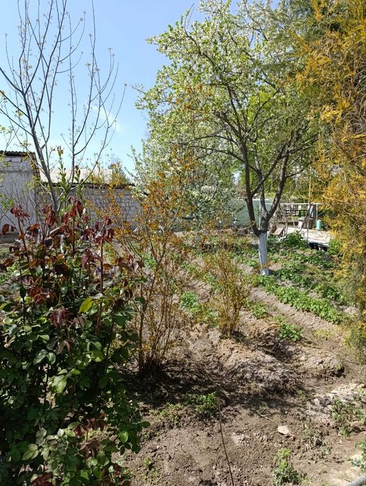 Продаю дом.в старом городе