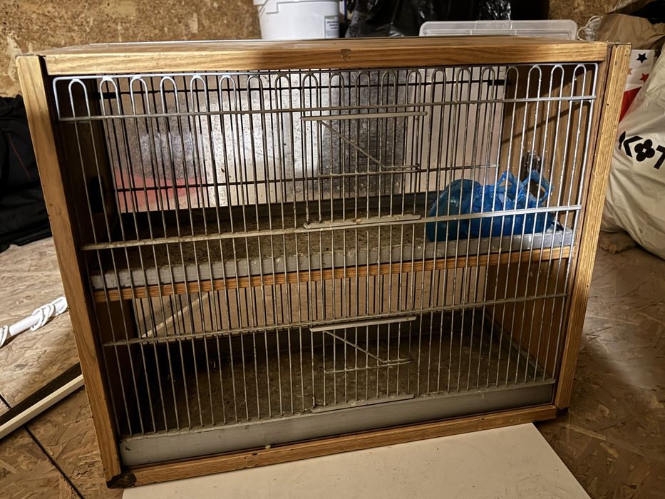 Voliera dubla expo pasari exotice