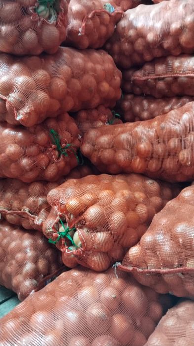 Лук мелкий и средний