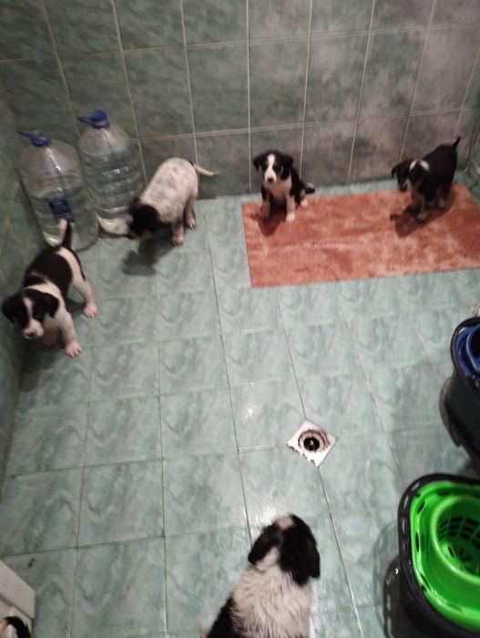 Дари грижа, ще получиш любов!