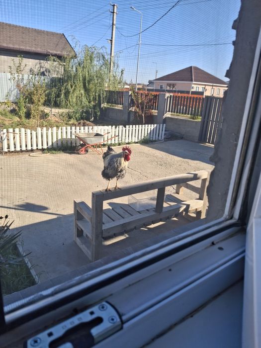 Дом жилой  Водниково 3