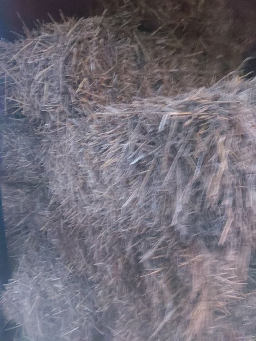 Baloți paie curate ținute la adăpost